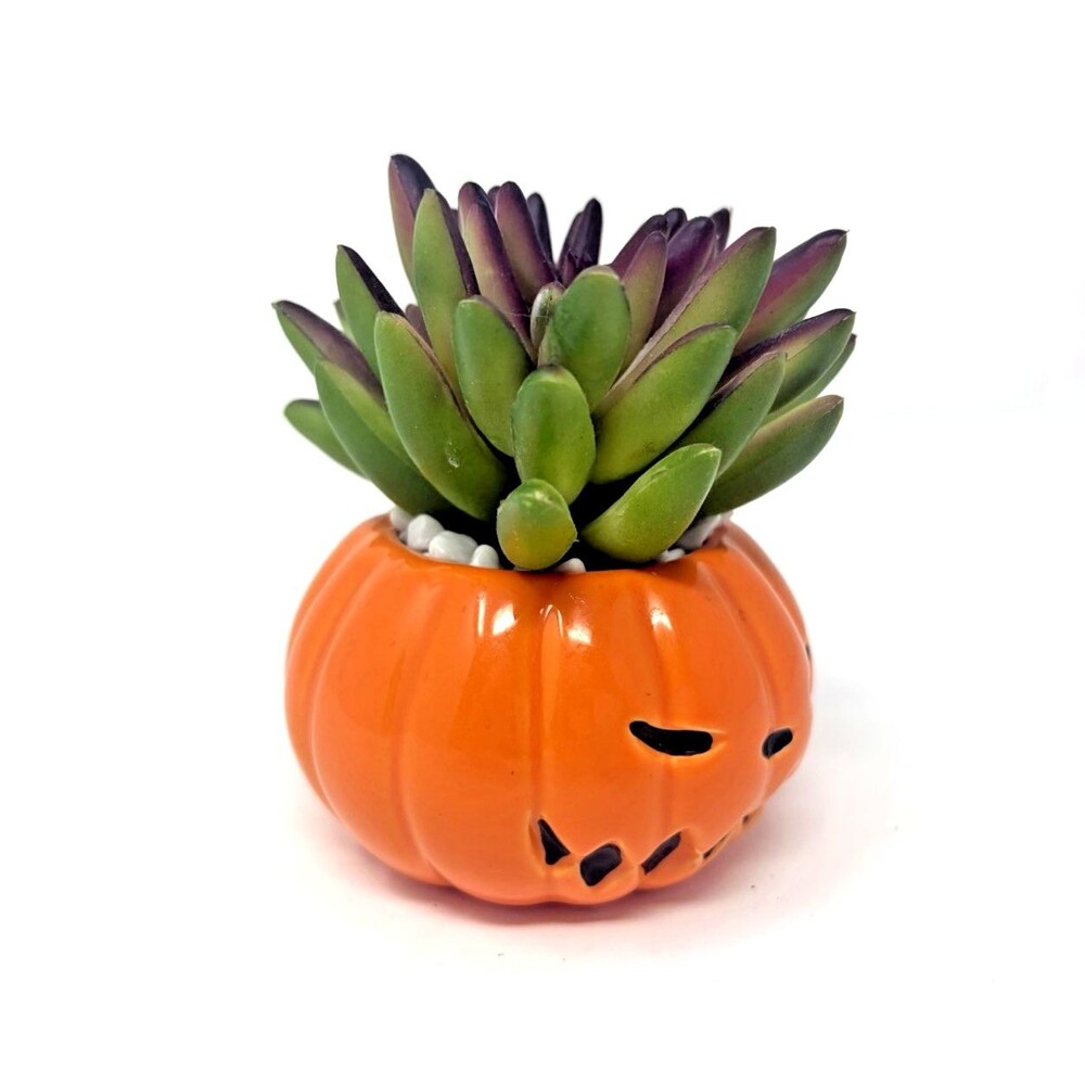Disney Tim Burton's Nightmare Before Christmas Pumpkin King Faux Succulent 3.5in - Picture 2 of 8